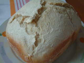 Domci celozrnn chlieb